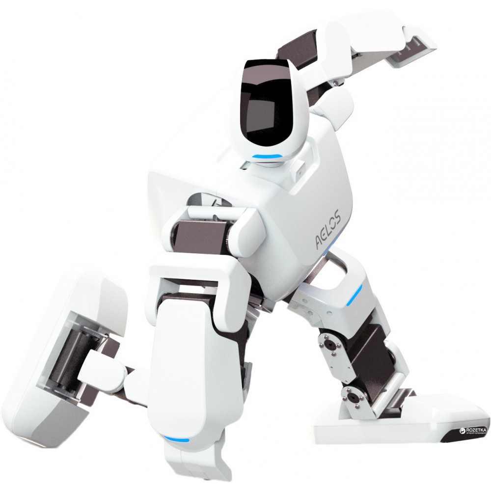 Programmable Robot Leju Humanoid Robot Aelos Pro Version With Remote Control D / A AL-PRO-E1E + Control